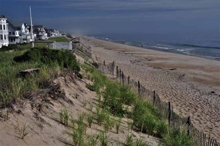 beach scene